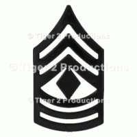 1st SERGEANT (ARMY) BLACK METAL PAIR