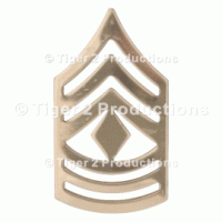 1st SERGEANT (ARMY) NO-SHINE PAIR