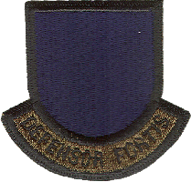 USAF SECURITY FORCES OFFICER SUBDUED