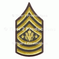 SERGEANT MAJOR OF THE ARMY (ARMY) GOLD/GREEN MEN PAIR