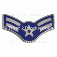 AIRMAN 1st CLASS METAL PAIR