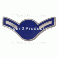 AIRMAN (BLUE STAR) METAL PAIR