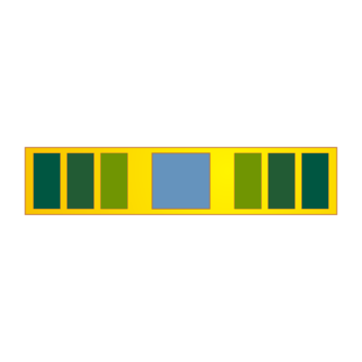 ARMED FORCES SERVICE LAPEL PIN