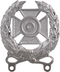 WEAPONS QUALIFICATION BADGE, EXPERT, SHINY