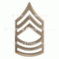 MASTER SERGEANT (ARMY) NO-SHINE PAIR