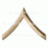 PRIVATE (ARMY) NO-SHINE PAIR