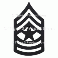 SERGEANT MAJOR (ARMY) BLACK METAL PAIR