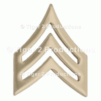 SERGEANT (ARMY) NO-SHINE PAIR