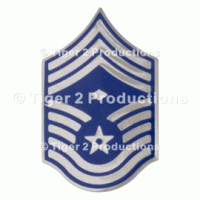 CHIEF MASTER SERGEANT (1st SGT) METAL PAIR