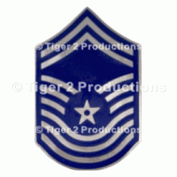 CHIEF MASTER SERGEANT (1st TYPE) METAL PAIR