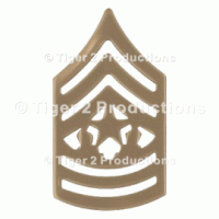 COMMAND SERGEANT MAJOR (ARMY) NO-SHINE PAIR