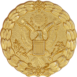 FEDERAL SERVICE RETIREMENT GOLD LAPEL PIN