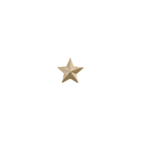 GOLD STAR RIBBON DEVICE 1/8" 