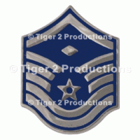 MASTER SERGEANT (1st SGT) METAL PAIR