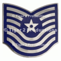 MASTER SERGEANT (1st TYPE) METAL PAIR