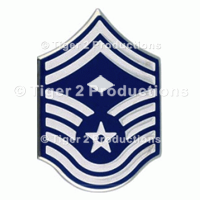 SENIOR MASTER SERGEANT (1st SGT) METAL PAIR
