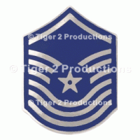 SENIOR MASTER SERGEANT (1st TYPE) METAL PAIR