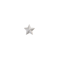 SILVER STAR RIBBON DEVICE 1/8"  