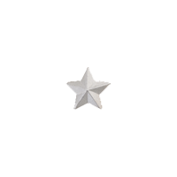 SILVER STAR RIBBON DEVICE 3/16" 