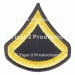 PRIVATE FIRST CLASS (ARMY) DRESS BLUE MEN PAIR