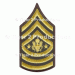 SERGEANT MAJOR OF THE ARMY (ARMY) GOLD/GREEN MEN PAIR