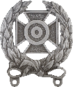 WEAPONS QUALIFICATION BADGE, EXPERT, SILVER OXIDE