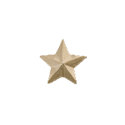GOLD STAR RIBBON DEVICE 5/16"