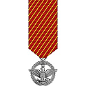AIR FORCE COMBAT ACTION MEDAL MINIATURE SIZE