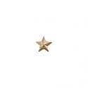 GOLD STAR RIBBON DEVICE 1/8" GLUE ON